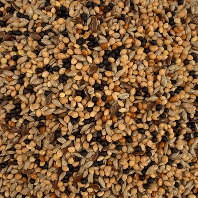 1kg Foreign Finch Seed