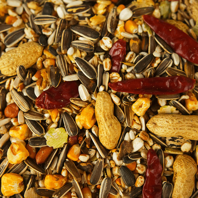 1kg Parrot Food 